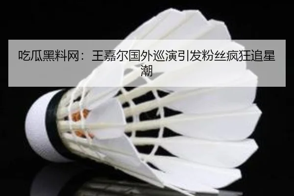 吃瓜黑料网：王嘉尔国外巡演引发粉丝疯狂追星潮